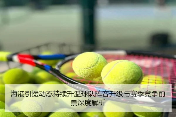 海港引援动态持续升温球队阵容升级与赛季竞争前景深度解析