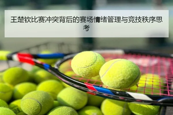 王楚钦比赛冲突背后的赛场情绪管理与竞技秩序思考