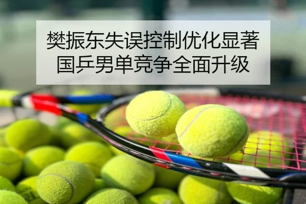 樊振东失误控制优化显著 国乒男单竞争全面升级