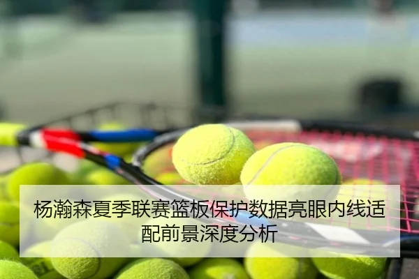 杨瀚森夏季联赛篮板保护数据亮眼内线适配前景深度分析